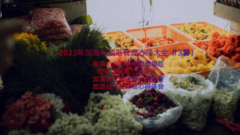 2023年加油站规范管理心得大全（13篇）