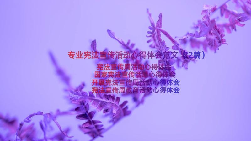 专业宪法宣传活动心得体会范文（22篇）