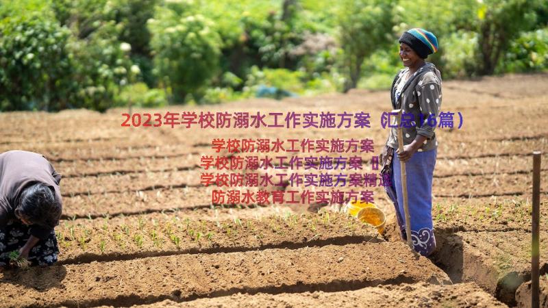 2023年学校防溺水工作实施方案（汇总16篇）