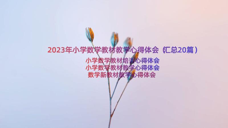 2023年小学数学教材教学心得体会（汇总20篇）