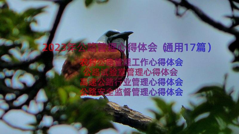 2023年公路管理心得体会（通用17篇）