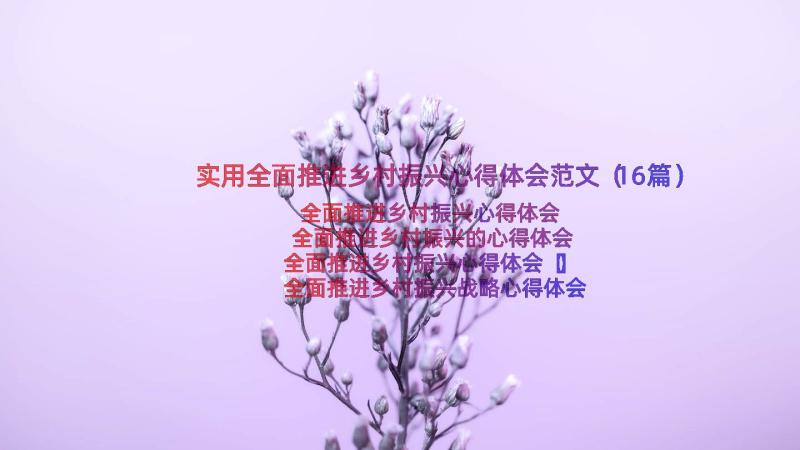 实用全面推进乡村振兴心得体会范文（16篇）