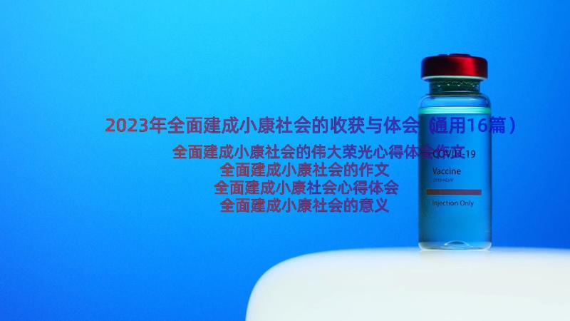 2023年全面建成小康社会的收获与体会（通用16篇）