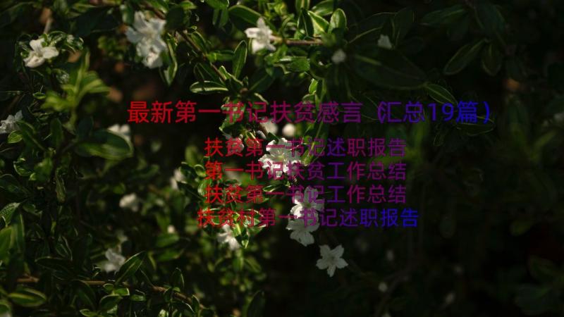 最新第一书记扶贫感言（汇总19篇）