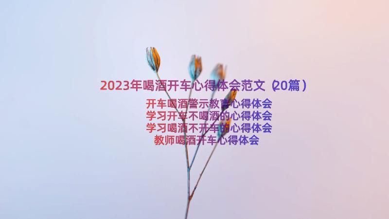 2023年喝酒开车心得体会范文（20篇）