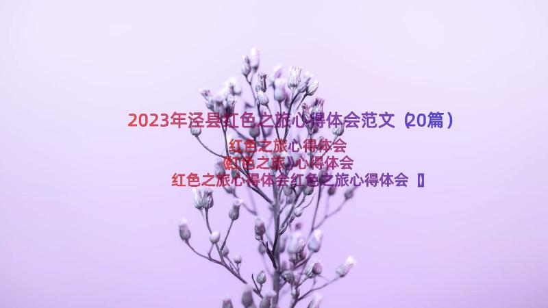 2023年泾县红色之旅心得体会范文（20篇）