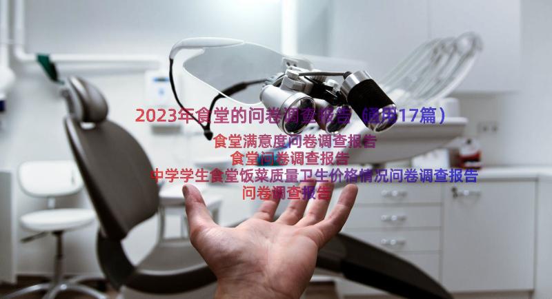 2023年食堂的问卷调查报告（通用17篇）