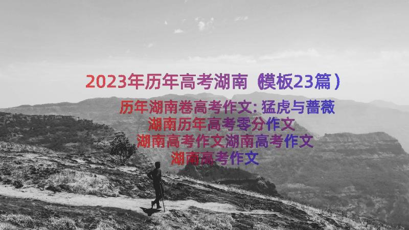 2023年历年高考湖南（模板23篇）