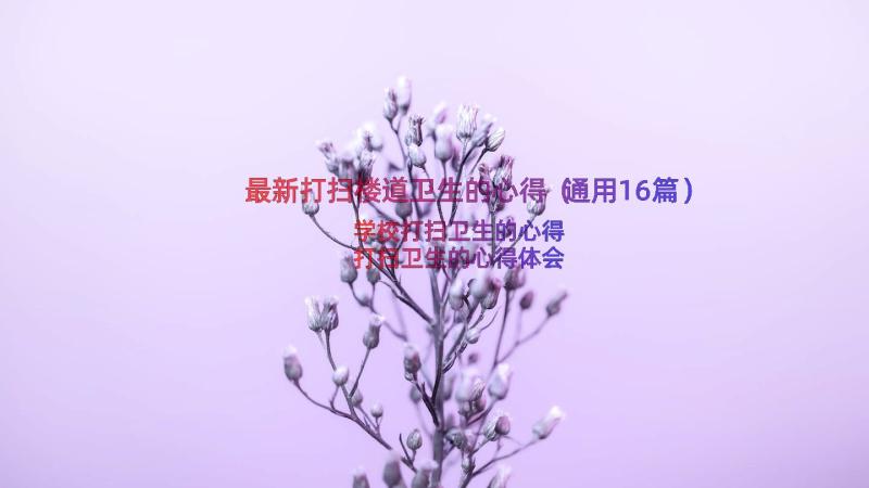 最新打扫楼道卫生的心得（通用16篇）