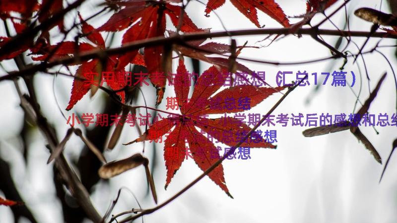 实用期末考试的总结感想（汇总17篇）