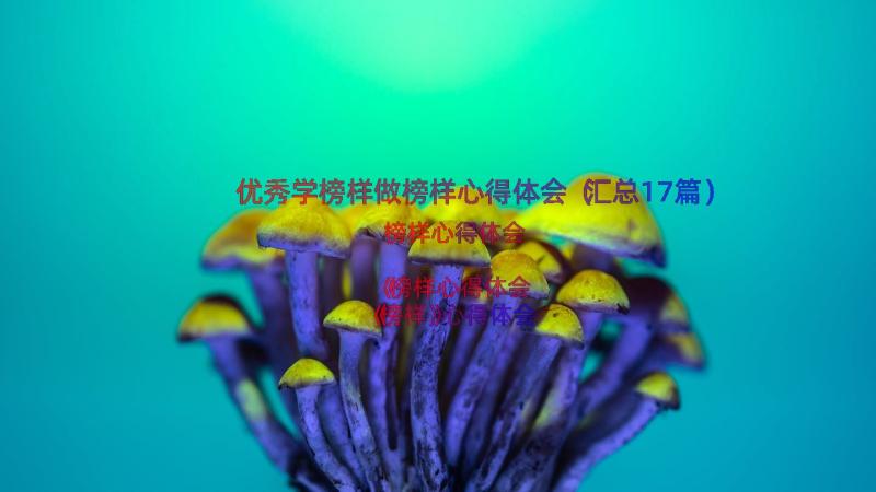 优秀学榜样做榜样心得体会（汇总17篇）