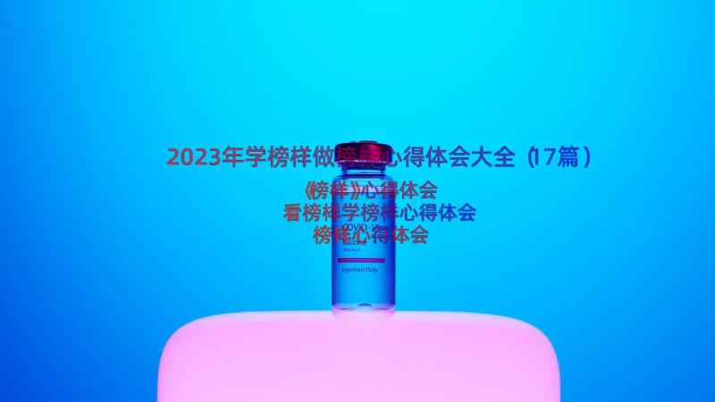 2023年学榜样做榜样心得体会大全（17篇）