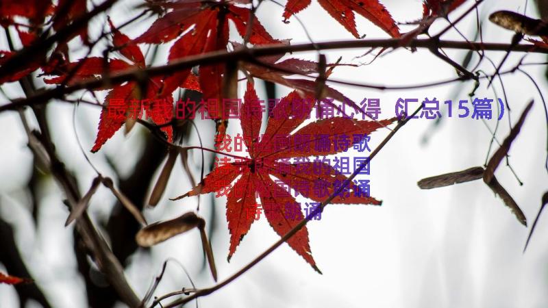 最新我的祖国诗歌朗诵心得（汇总15篇）