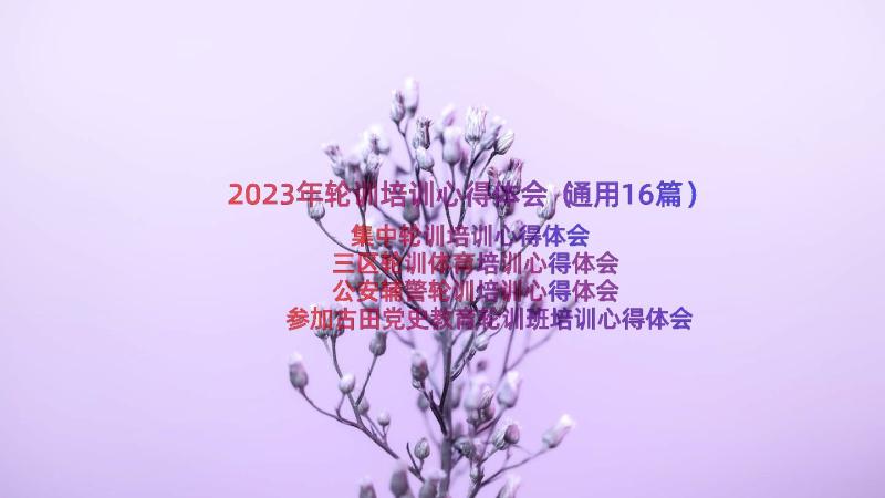 2023年轮训培训心得体会（通用16篇）