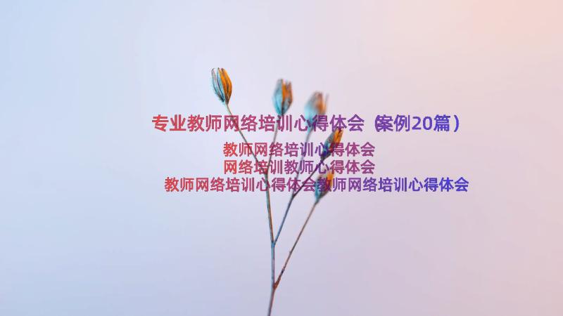 专业教师网络培训心得体会（案例20篇）