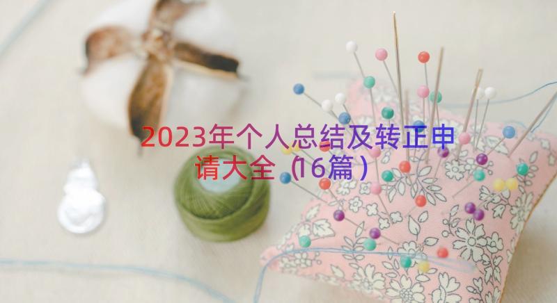 2023年个人总结及转正申请大全（16篇）