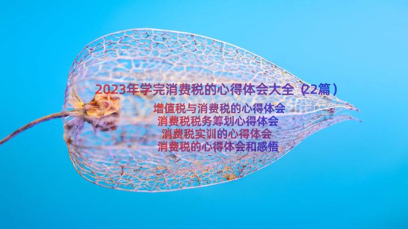 2023年学完消费税的心得体会大全（22篇）