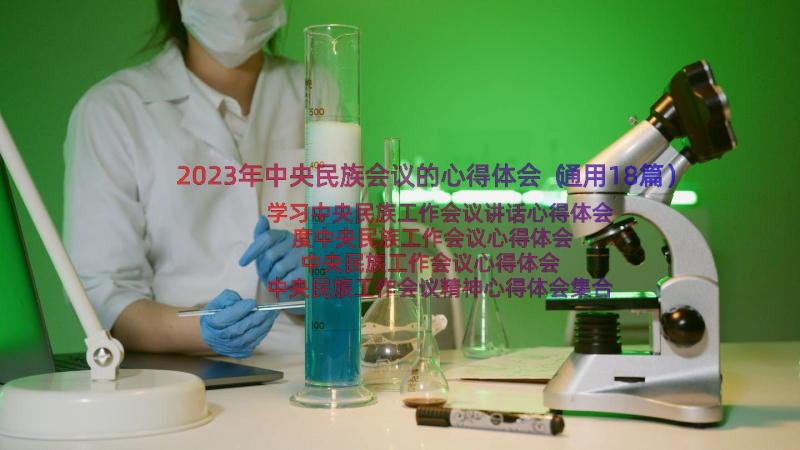 2023年中央民族会议的心得体会（通用18篇）