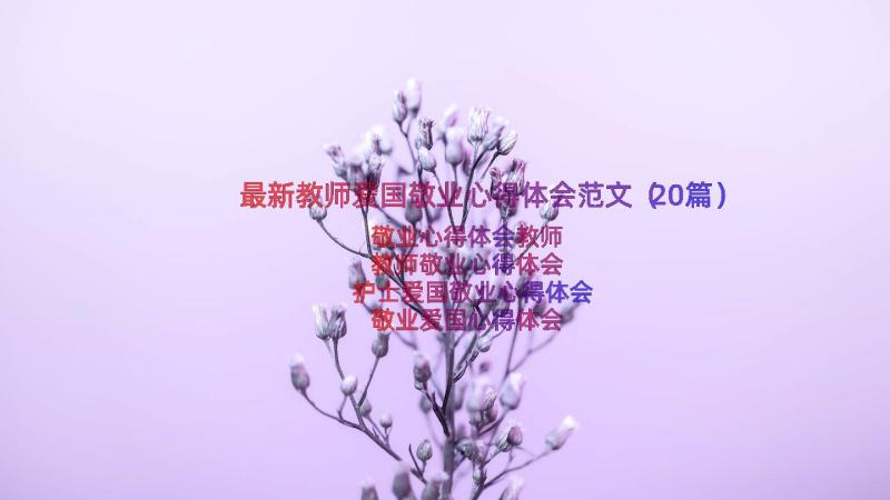 最新教师爱国敬业心得体会范文（20篇）