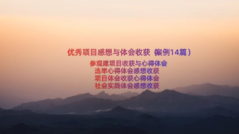 优秀项目感想与体会收获（案例14篇）