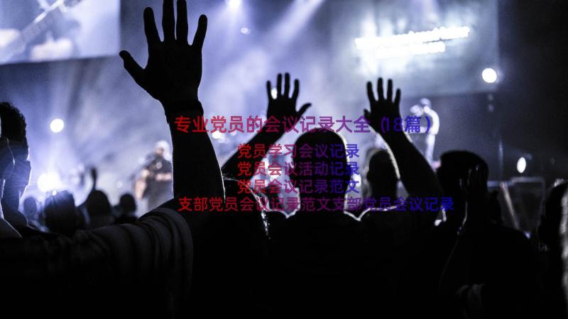 专业党员的会议记录大全（18篇）