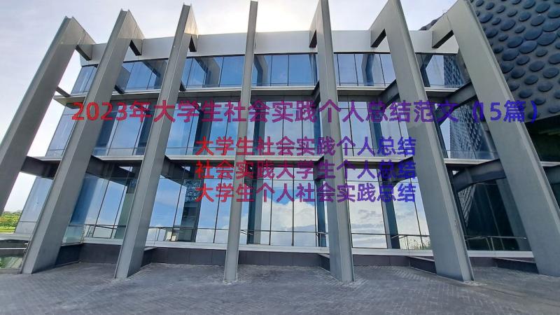 2023年大学生社会实践个人总结范文（15篇）