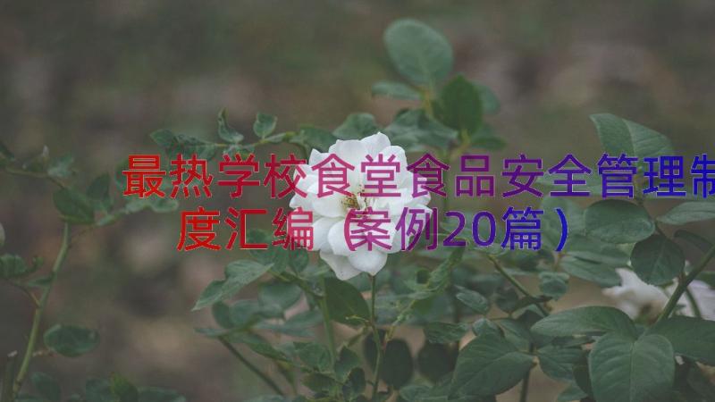 最热学校食堂食品安全管理制度汇编（案例20篇）