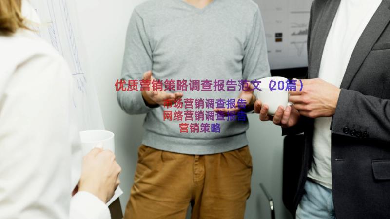 优质营销策略调查报告范文（20篇）