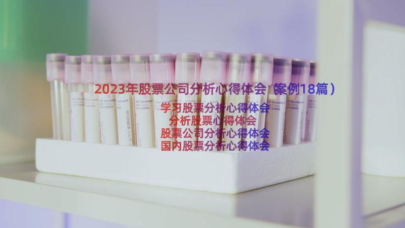 2023年股票公司分析心得体会（案例18篇）