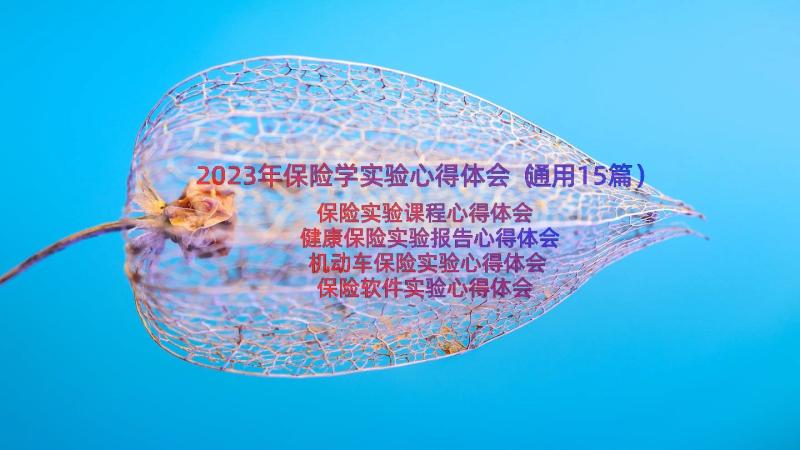 2023年保险学实验心得体会（通用15篇）