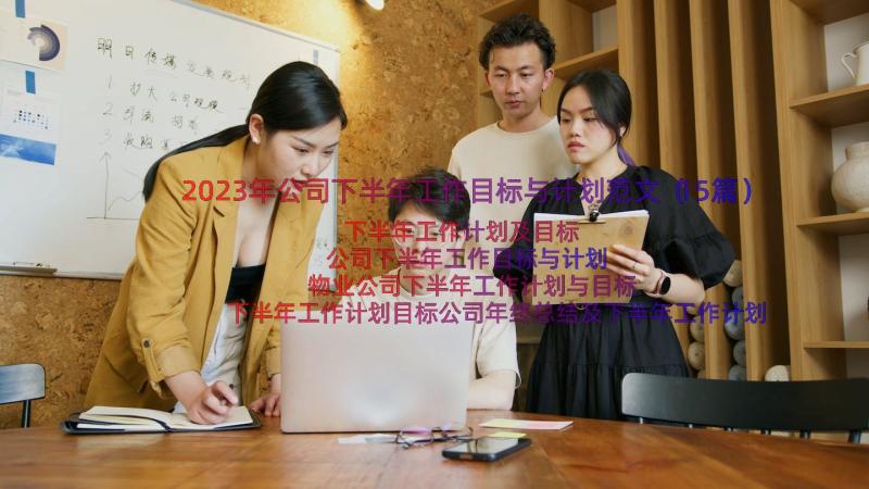 2023年公司下半年工作目标与计划范文（15篇）