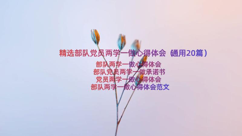 精选部队党员两学一做心得体会（通用20篇）