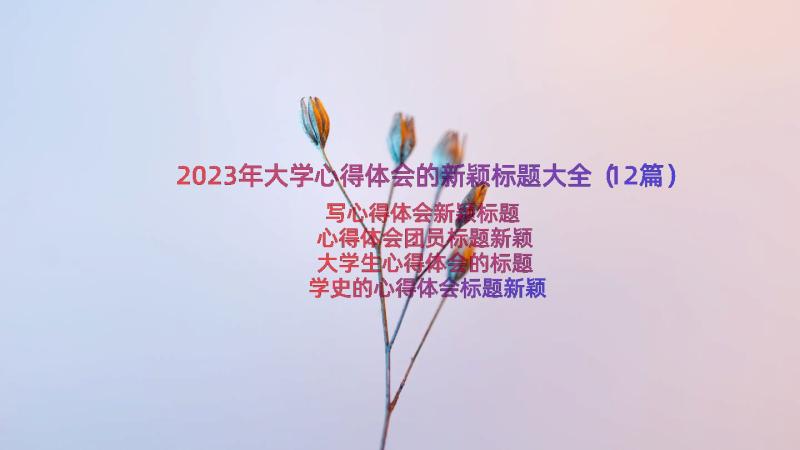 2023年大学心得体会的新颖标题大全（12篇）