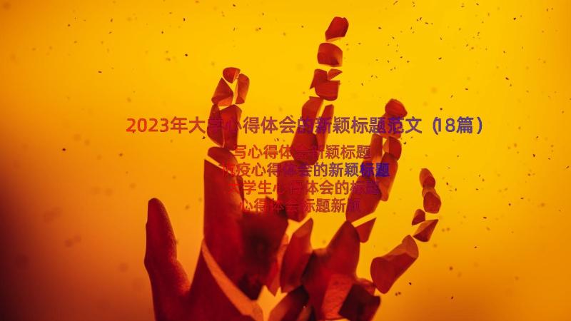 2023年大学心得体会的新颖标题范文（18篇）