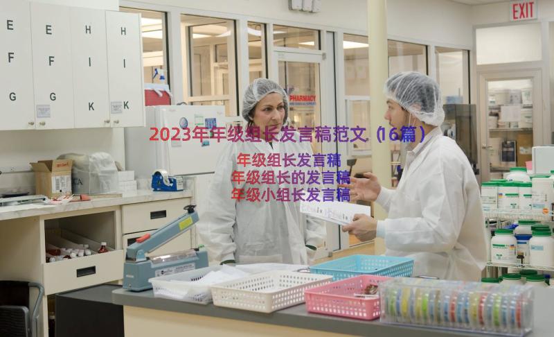 2023年年级组长发言稿范文（16篇）