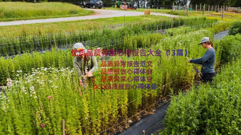 优质品质异常心得报告大全（13篇）