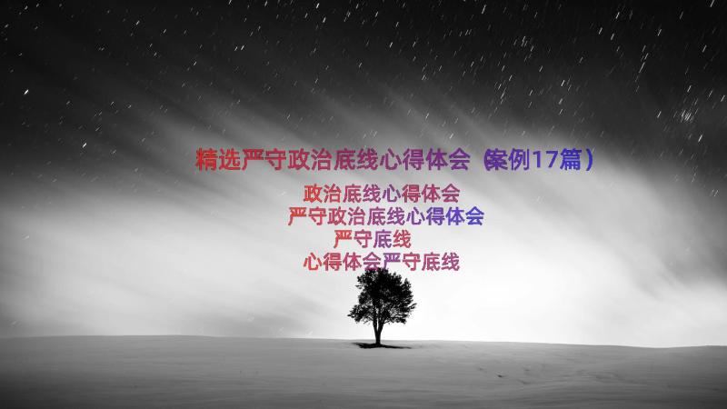 精选严守政治底线心得体会（案例17篇）