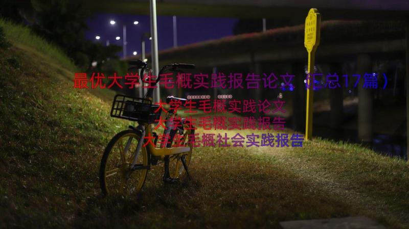 最优大学生毛概实践报告论文（汇总17篇）