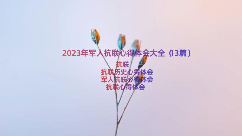 2023年军人抗联心得体会大全（13篇）