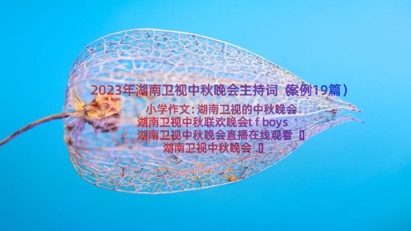 2023年湖南卫视中秋晚会主持词（案例19篇）