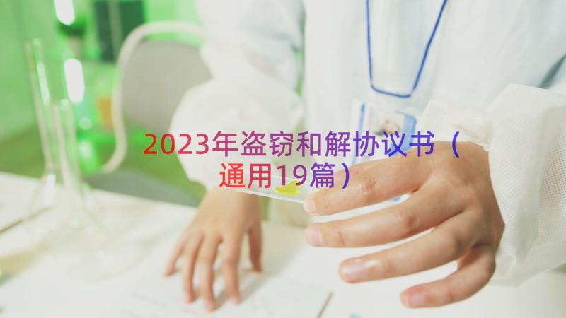 2023年盗窃和解协议书（通用19篇）