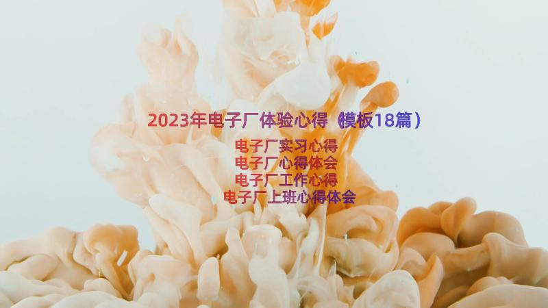 2023年电子厂体验心得（模板18篇）