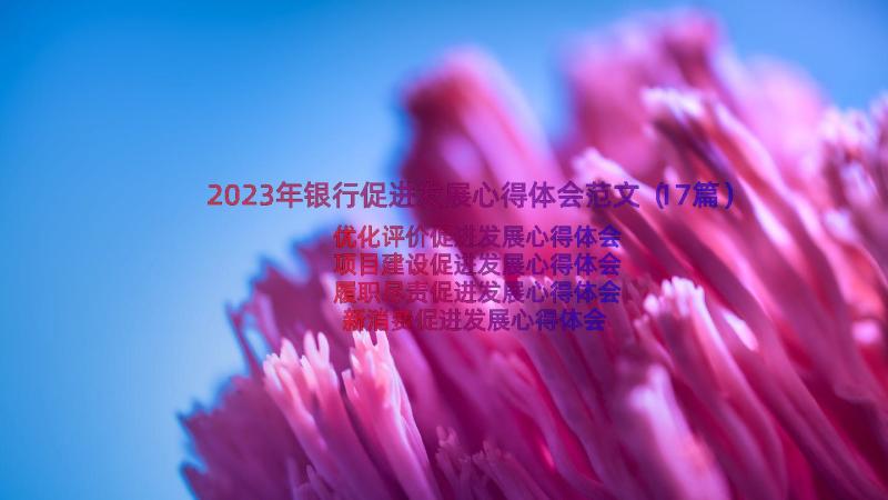 2023年银行促进发展心得体会范文（17篇）