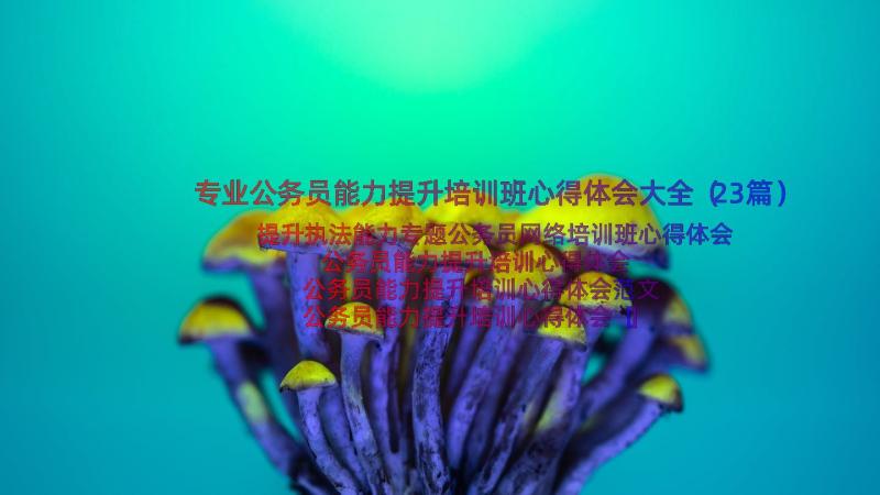 专业公务员能力提升培训班心得体会大全（23篇）