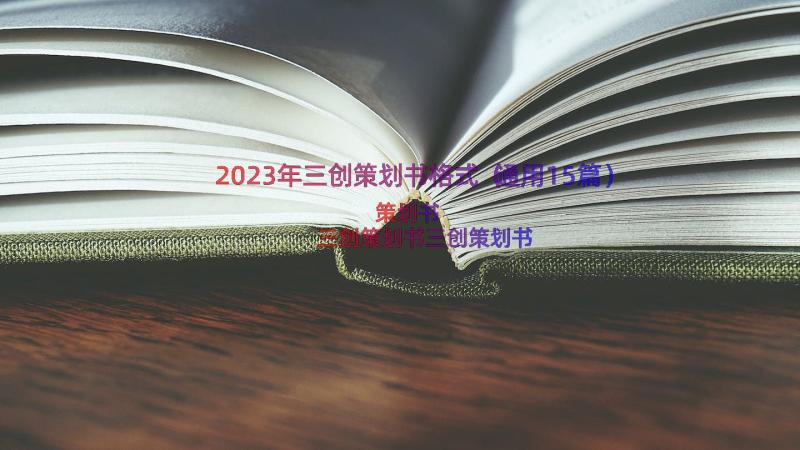 2023年三创策划书格式（通用15篇）