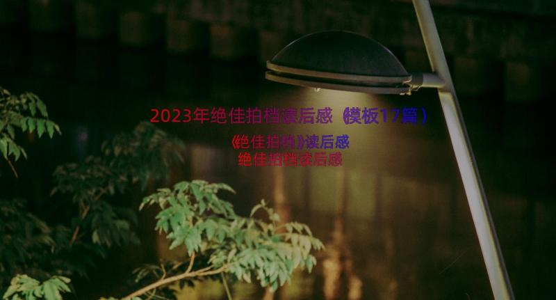 2023年绝佳拍档读后感（模板17篇）