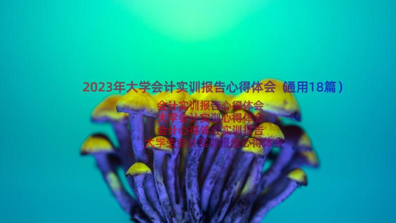 2023年大学会计实训报告心得体会（通用18篇）