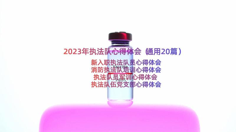 2023年执法队心得体会（通用20篇）