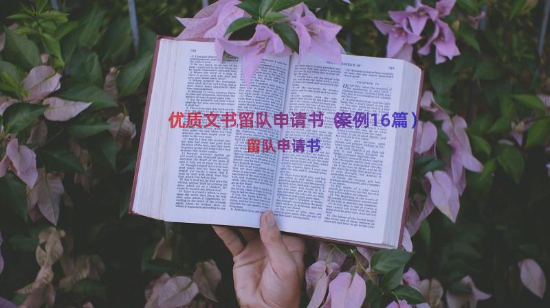 优质文书留队申请书（案例16篇）