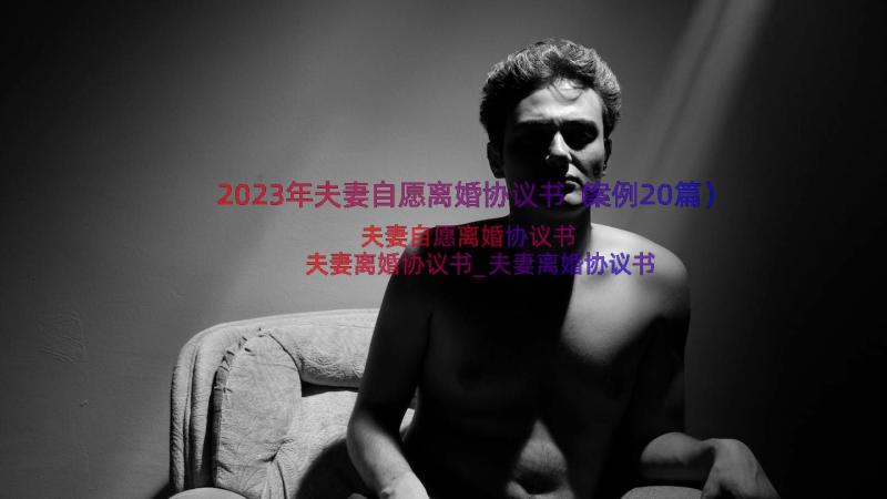 2023年夫妻自愿离婚协议书（案例20篇）